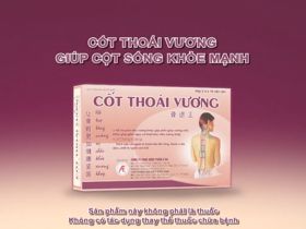 Cốt Thoái Vương - Giúp cột sống khỏe mạnh hơn